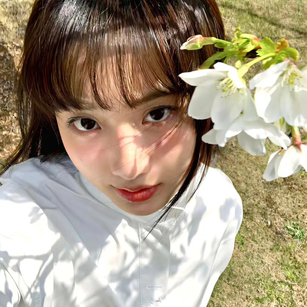 国宝天香